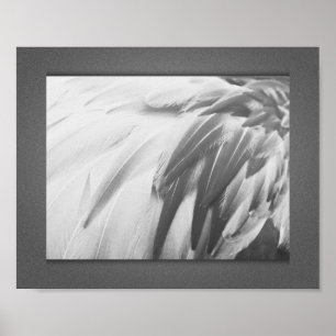Utskrivbar konst av monokrom Flamingo Feathers Poster