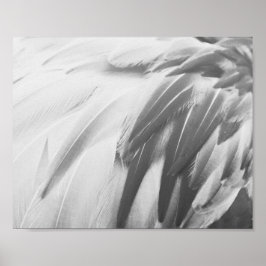 Utskrivbar konst av monokrom Flamingo Feathers Poster