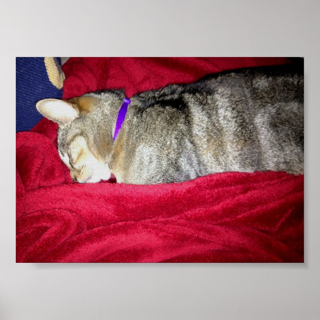 Utskriven indigo poster (Framsidan)