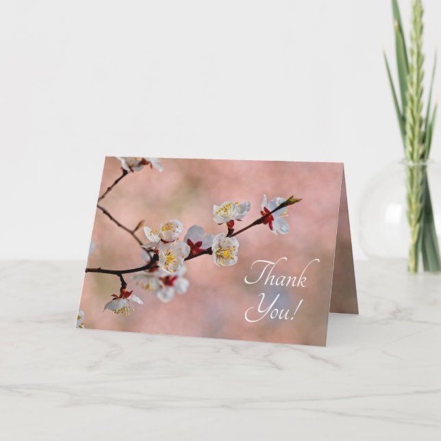 Utsökta japanska Apricot Flowers Tack Kort (Framsida)