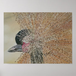 Utstående afrikansk Crane Bird Poster