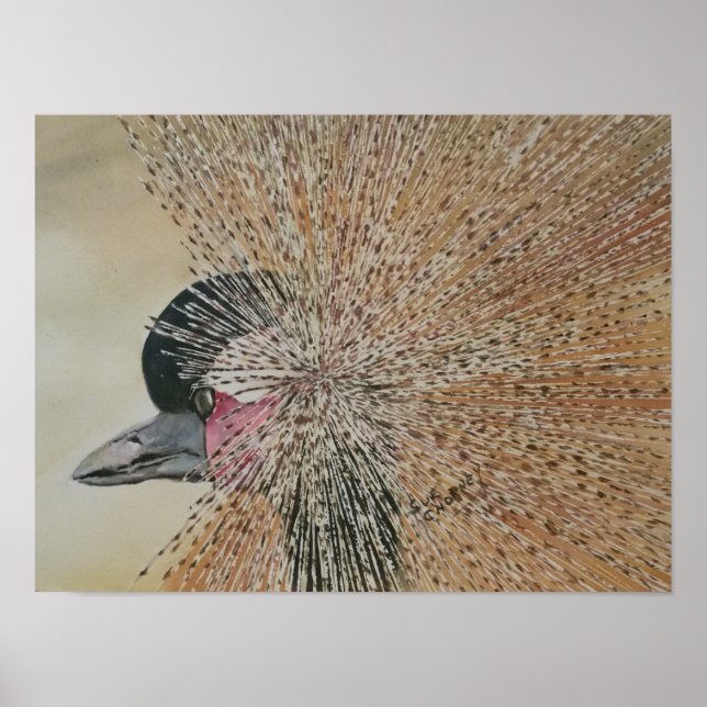 Utstående afrikansk Crane Bird Poster (Framsidan)