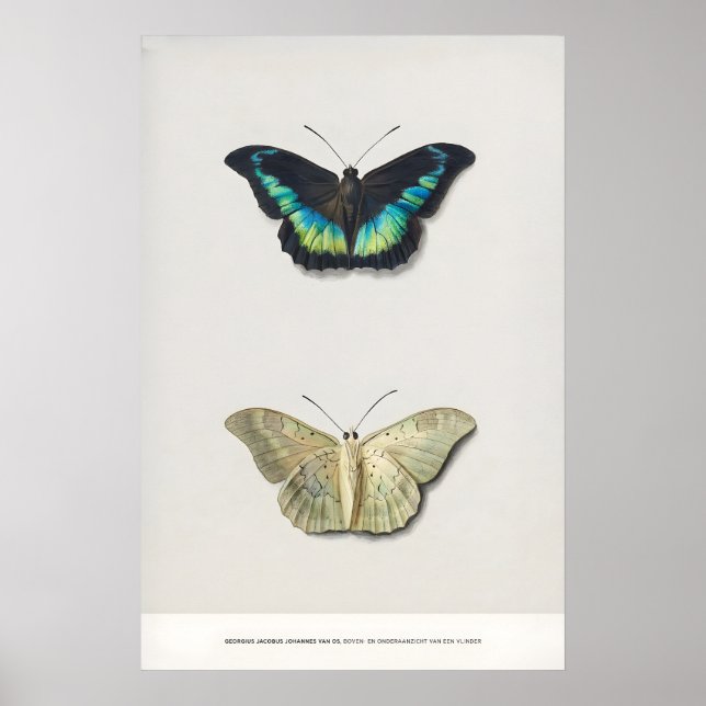 Utställning Konsttryck Georgius van Os Two Poster (Framsidan)