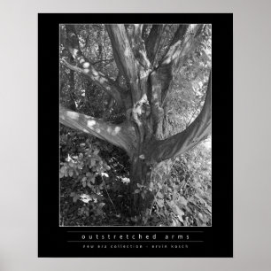 Utsträckt Arm Poster
