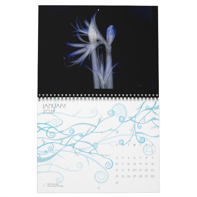 Utstråla skönhet (en röntgastudie av blommor) kalender (Jan 2027)