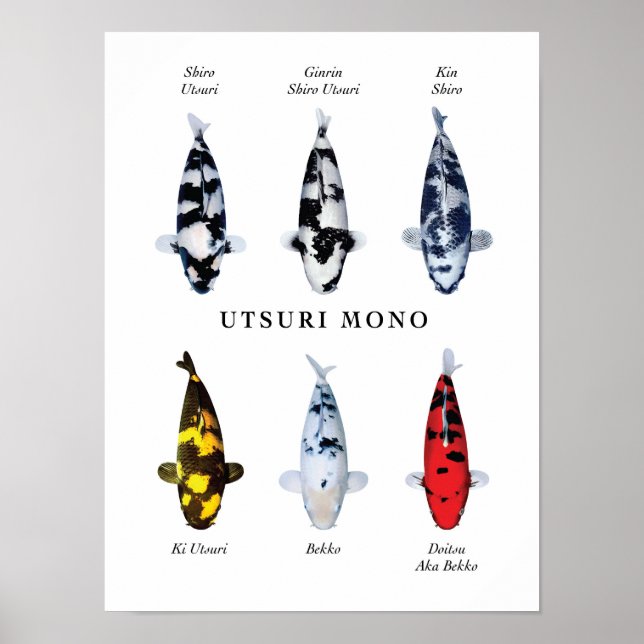 Utsurimono: affischart för japansk Koi-fisk Poster (Framsidan)
