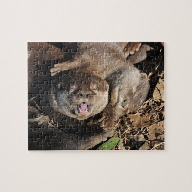 Utterfoto Pussel (Horisontell)