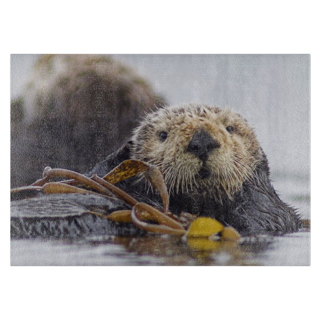 Utteröverrrakningskärbräda (Framsidan)