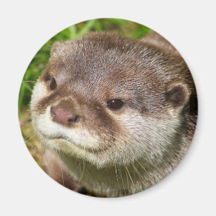Utterporträtt Magnet