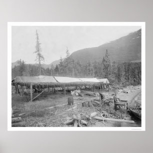 Uttorkninglax i Alaska 1915 Poster