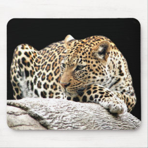 Uttråkad leopardmousepad musmatta