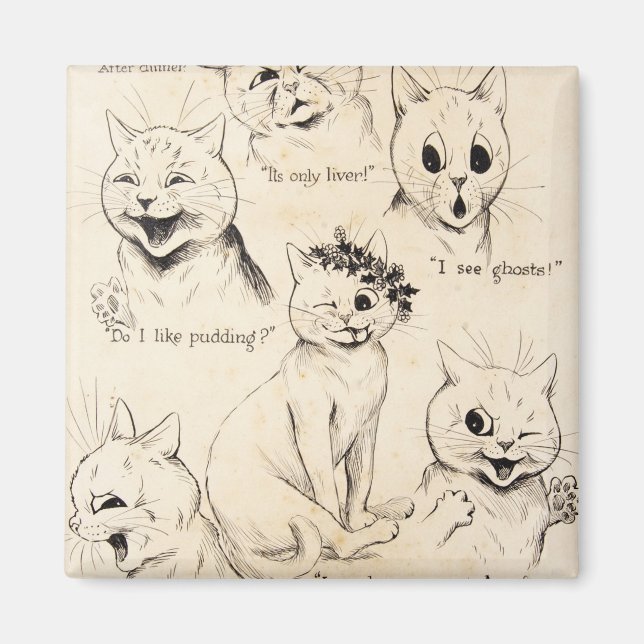Uttryck av olika katter, Louis Wain Magnet (Framsidan)