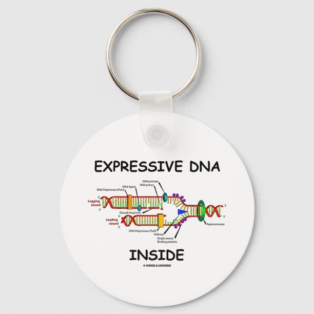 Uttryckligt DNA inuti (DNA-replikering) Nyckelring (Framsida)