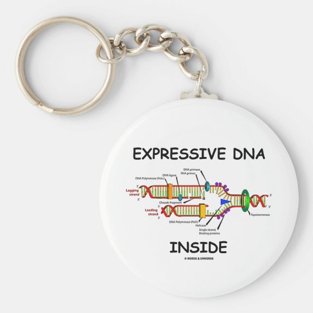 Uttryckligt DNA inuti (DNA-replikering) Nyckelring (Framsidan)
