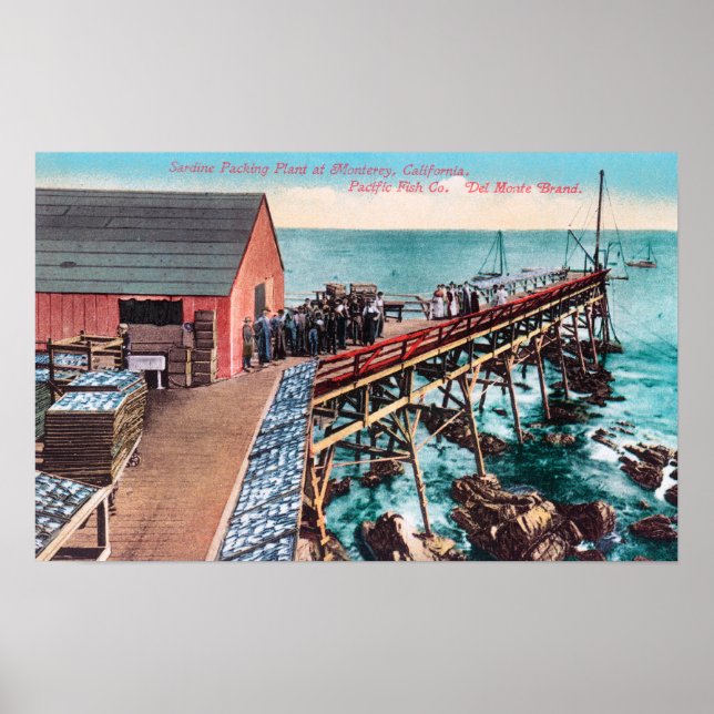 Utvändig vy av Dell Monte Sardine-förpackning Poster (Framsidan)