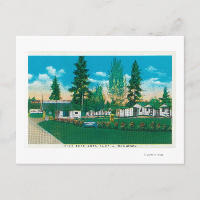 Utvändig vy över Gräs Träd Auto Camp Vykort (Framsida)