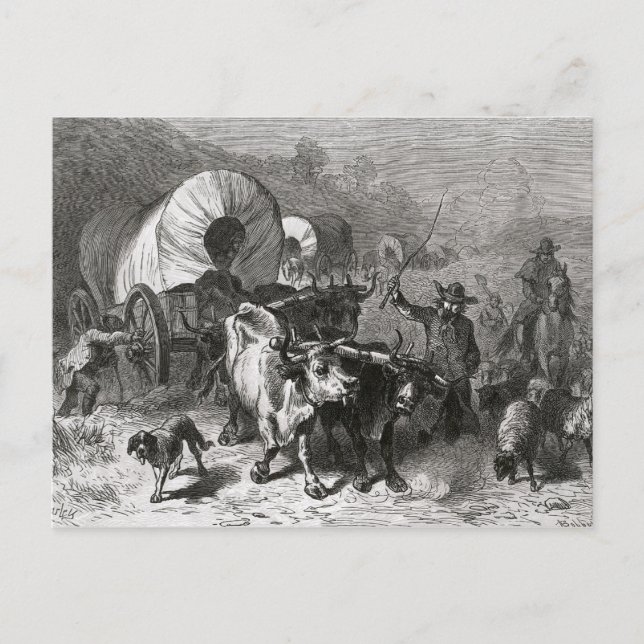 Utvandring till Westerna Land Vykort (Framsida)