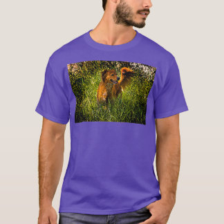 Utvärdering av Mi Loca Mariposa II T Shirt