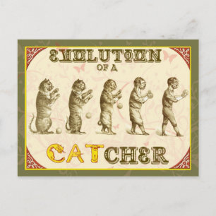 Utveckling av en Catcher Vykort