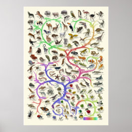 Utveckling - Livets träd - Poster