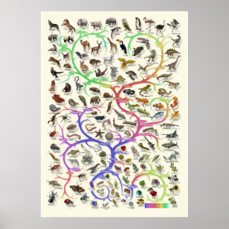 Utveckling - Livets träd - Poster