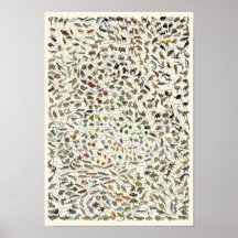 Utveckling - Poster i Livets träd