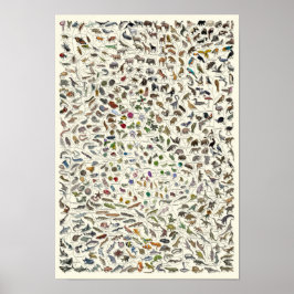 Utveckling - Poster i Livets träd