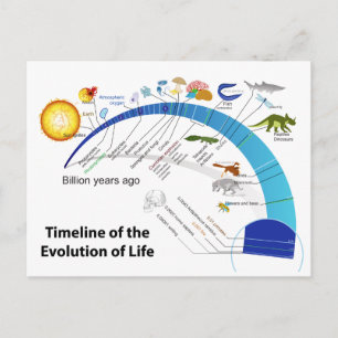 Utvecklingen av livet på jordens tidslinjediagram vykort