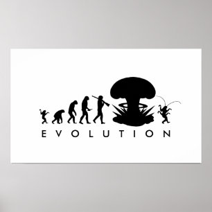 Utvecklingen av människa & kackerlacka Roligt evol Poster