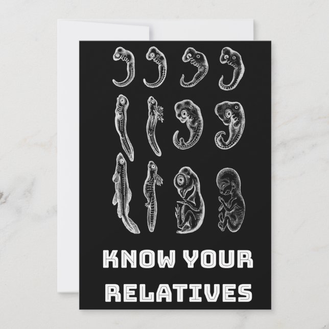 Utvecklingsembryogenes Julkort (Framsida)