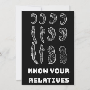 Utvecklingsembryogenes Julkort