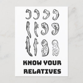 Utvecklingsembryogenes Vykort