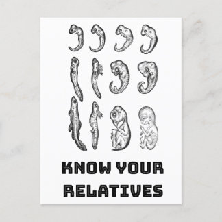 Utvecklingsembryogenes Vykort