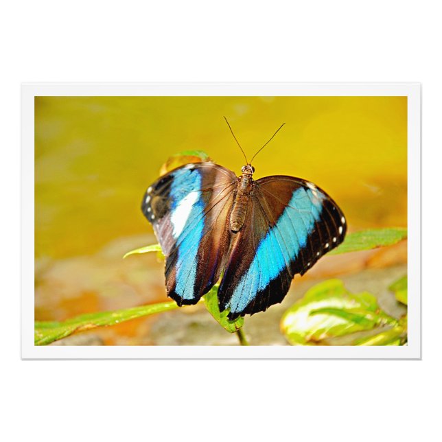 Utvidgning av foto (Framsidan)