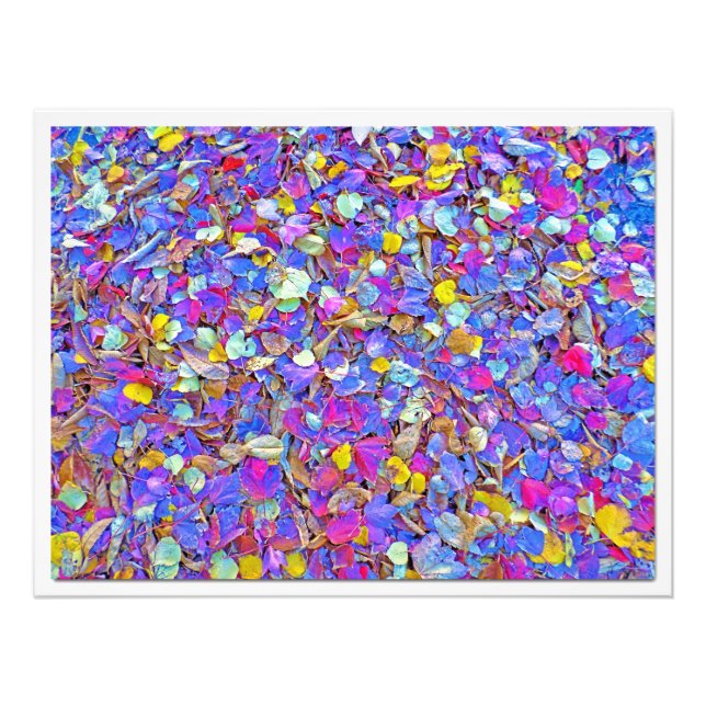 Utvidgning av foto (Framsidan)