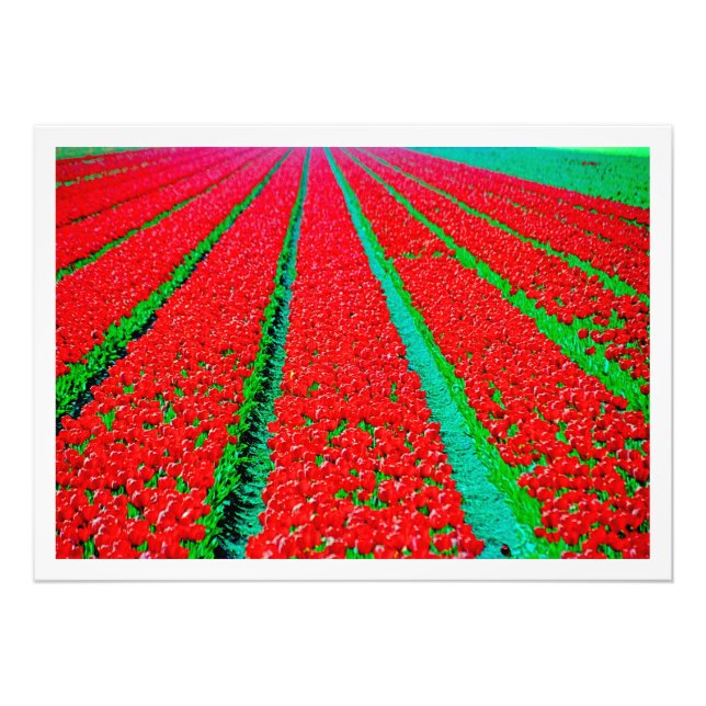 Utvidgning av foto (Framsidan)