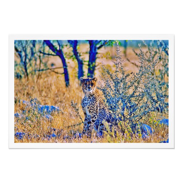 Utvidgning av foto (Framsidan)