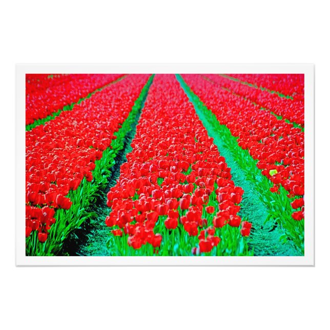 Utvidgning av foto (Framsidan)