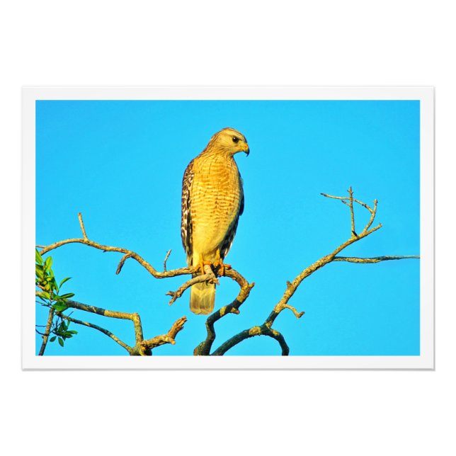 Utvidgning av foto (Framsidan)