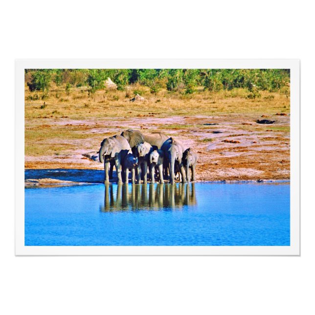 Utvidgning av foto (Framsidan)