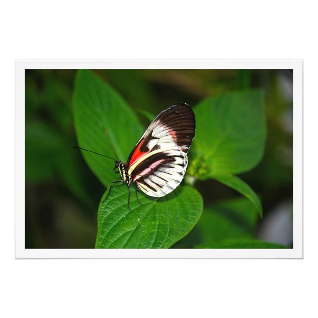 Utvidgning av foto (Framsidan)