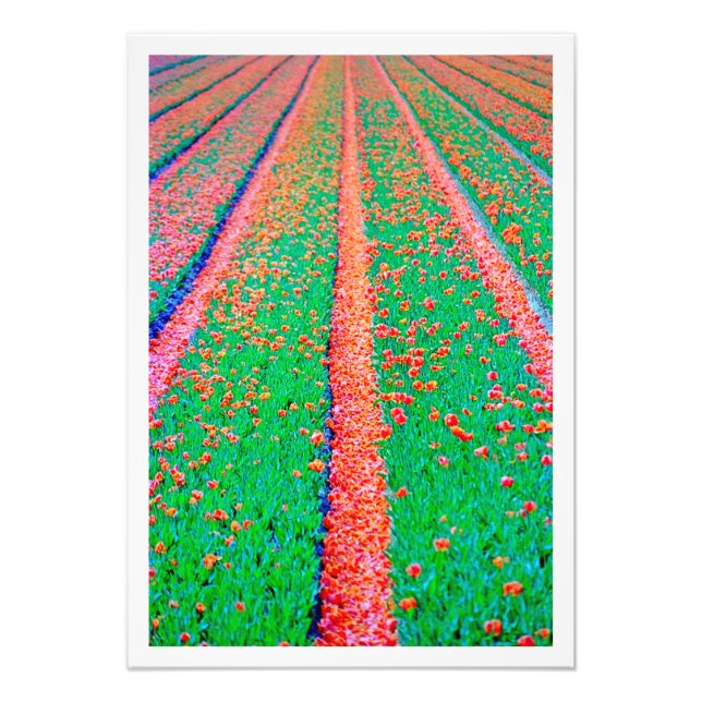 Utvidgning av foto (Framsidan)