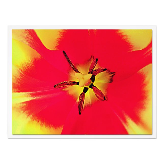 Utvidgning av foto (Framsidan)