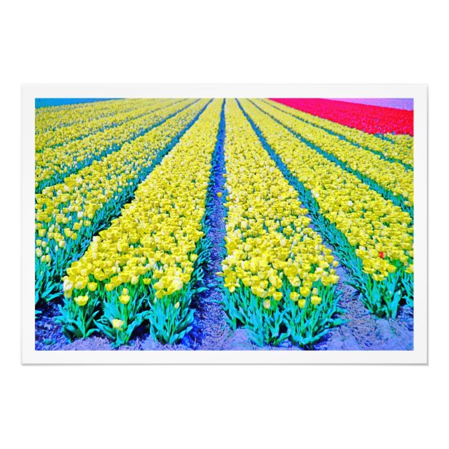 Utvidgning av foto (Framsidan)