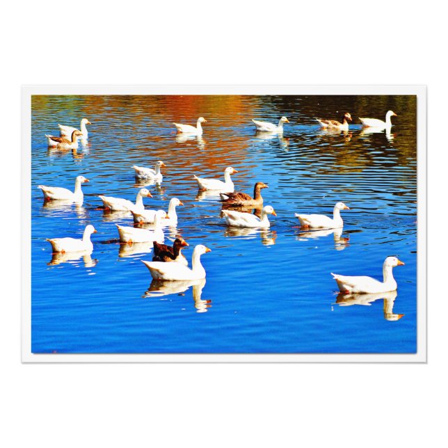 Utvidgning av foto (Framsidan)