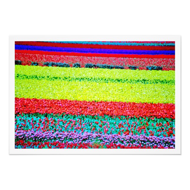 Utvidgning av foto (Framsidan)