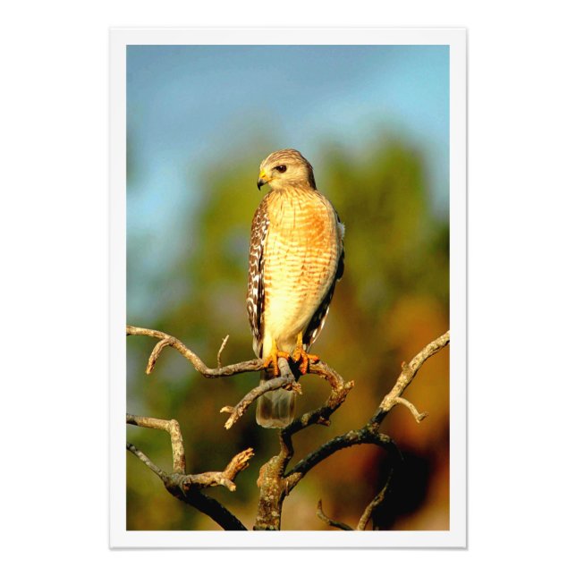 Utvidgning av foto (Framsidan)