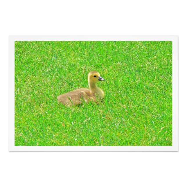 Utvidgning av foto (Framsidan)