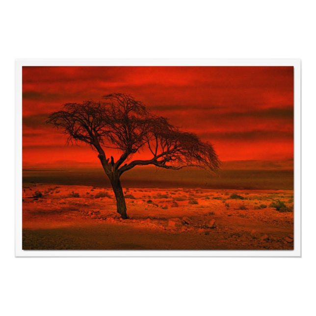 Utvidgning av foto (Framsidan)