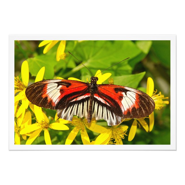 Utvidgning av foto (Framsidan)